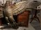 Large Empire Period Carved Eagle in Oak and Beechwood, France, Imagen 4