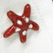 Red & White Spotted Hand-Enameled Sterling Silver Starfish Cufflinks from Berca 12