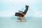 Norwegian Mid-Century Lounge Chair in Plywood & Black Leather by Elsa & Nordahl Solheim for Rybo Rykken & Co, Image 19