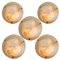 Brass Massive Murano Glass Wall Light / Flush Mount 1