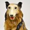 Life Size Collie Dog Ceramic Sculpture, 1960s 5