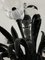 Lámpara de araña Tulips de cristal de Murano, Imagen 7