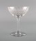 French Art Deco Cavour Champagne Glasses, Set of 7 3