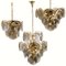 Smoked Glass and Brass Chandelier in the Style of Vistosi, Italy, 1970s 12