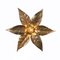 Willy Daro Style Brass Flowers Wall Lights from Massive Lighting, 1970, Set of 2 8