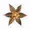Willy Daro Style Brass Flowers Wall Lights from Massive Lighting, 1970, Set of 2, Image 8