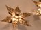 Willy Daro Style Brass Flowers Wall Lights from Massive Lighting, 1970, Set of 2 4