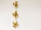 Brass Regency Flower Wall or Ceiling Light in the Style of Willy Daro, 1970s 3