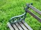 Garden Bench, Imagen 3