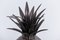 Silver Plated Pineapple Ice Bucket by Teghini 4