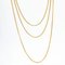 French 19th Century 18 Karat Yellow Gold Long Chain Necklace 4
