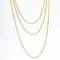 French 19th Century 18 Karat Yellow Gold Long Chain Necklace, Immagine 4