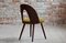 Mid-Century Dining Chairs in Kvadrat Honey-Olive Boucle by A. Šuman, Set of 4 11