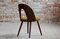 Mid-Century Dining Chairs in Kvadrat Honey-Olive Boucle by A. Šuman, Set of 4, Imagen 11