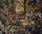 Tung Walsh, Rhododendrons 5, 2020, C-Type Print, Image 1