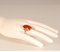 Vintage 14K Yellow Gold Statement Ring with Carnelian Agate Stone Cabochon Cut and White Gold Accent 10