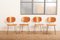 Model 116 Chairs by Wim Rietveld for Gispen, 1953, Set of 4 11