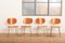 Model 116 Chairs by Wim Rietveld for Gispen, 1953, Set of 4, Immagine 11