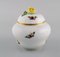 Lidded Porcelain Rothschild Bird Vase with Hand-Painted Avian Decoration from Herend 3