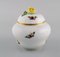 Lidded Porcelain Rothschild Bird Vase with Hand-Painted Avian Decoration from Herend, Image 3