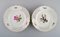 Antique Plates in Openwork Porcelain with Hand-Painted Flowers from Meissen, Set of 5, Image 3