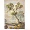 Antique Handmade Tapestry of Landscape with Tree, 17th Century 1