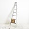 Antique French Fruit Picking Ladder, Image 2