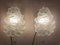 Iced Glass Wall Sconces, 1960s, Set of 2 4