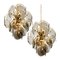 Smoked Glass and Brass Chandeliers in the Style of Vistosi, Italy, 1970s, Set of 2 2