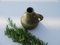 Otto Ceramic Vase in Eucalyptus Green with Henkel, Immagine 6
