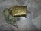 Vintage Brass Bell, 1950s-1970s, Image 1