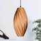 Ardere Cherry Tree Pendant Lamp by Gofurnit, Image 2