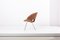 Model 350 Lounge Chair by Arno Votteler for Walter Knoll, Germany, 1950s, Imagen 5