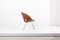 Model 350 Lounge Chair by Arno Votteler for Walter Knoll, Germany, 1950s, Imagen 8