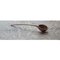 Large Pisara Spoon by Antrei Hartikainen, Imagen 3