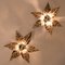 Massive Flower Wall Lights, Belgium, 1970s, Set of 2 7