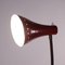 Floor Lamp, 1950s 3