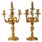 Louis XV Style Gilt Bronze Candelabras, Set of 2 1