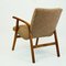 Austrian Café Ritter Beechwood Armchair by Roland Rainer 4