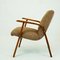 Austrian Café Ritter Beechwood Armchair by Roland Rainer, Image 3