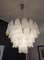 Vintage Italian Murano Glass Chandelier with 57 Glass Rondini Petals, 1980s, Image 12