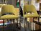 Armchairs from Rima, Set of 2, Imagen 10