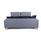 Freestyle 162 Blue Sofa by Rolf Benz, Image 7