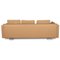6300 Leather Sofa by Rolf Benz 11