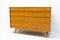 Mid-Century No. U-453 Chest of Drawers by Jiri Jiroutek, Czechoslovakia, 1960s 5