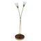 Mid-Century Floor Lamp, 1960s 1