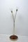 Mid-Century Floor Lamp, 1960s 5