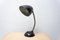 Mid-Century Table Lamp by Eric Kirkman Cole for Elektrosvit, 1940s 9