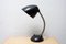 Mid-Century Table Lamp by Eric Kirkman Cole for Elektrosvit, 1940s 5