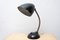 Mid-Century Table Lamp by Eric Kirkman Cole for Elektrosvit, 1940s 7